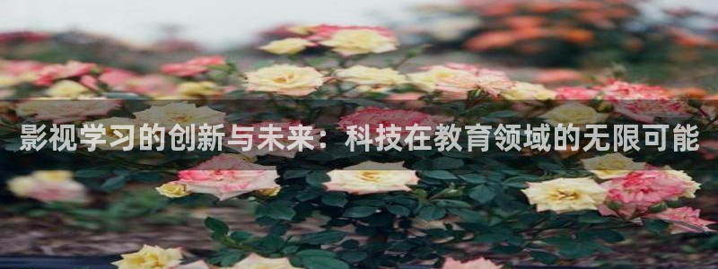 人人影视：影视学习的创新与未来：科技在教育领域的无限可能