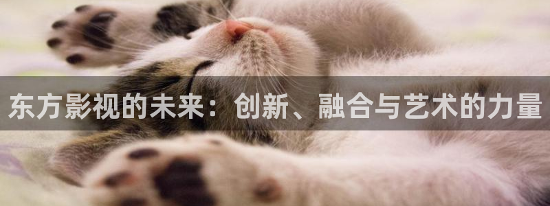 人人影院dvd：东方影视的未来：创新、融合与艺术的力量