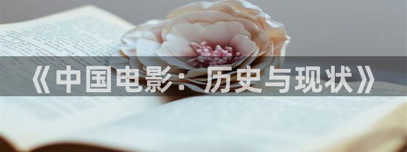 人人影视在线免费观看：《中国电影：历史与现状》