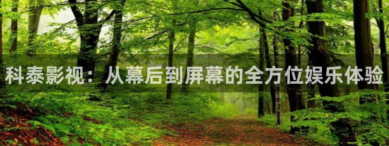 51人人影豆网理论片