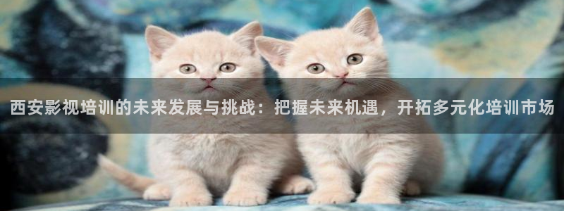 人人影剧