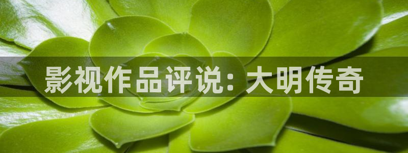 人人影视app下载官网