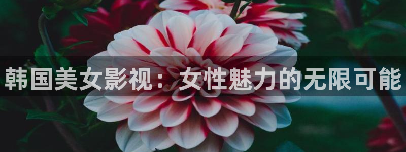 理论片人人影院