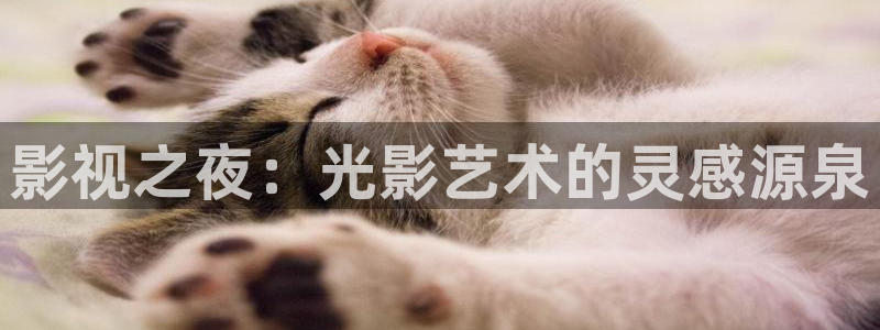 人人影院在线观看