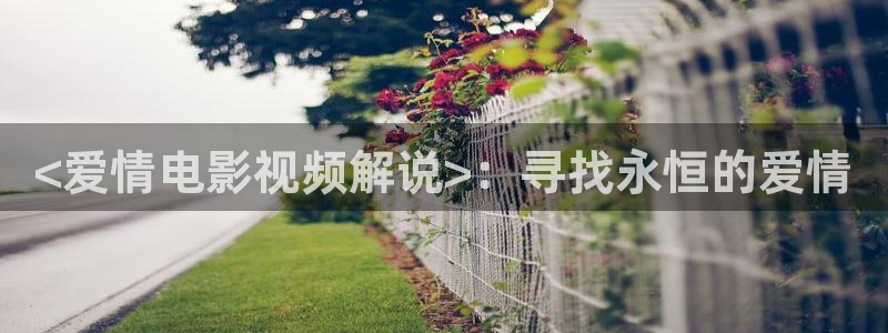 人人影音播放器