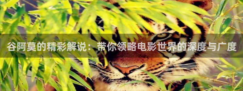 人人影院在线