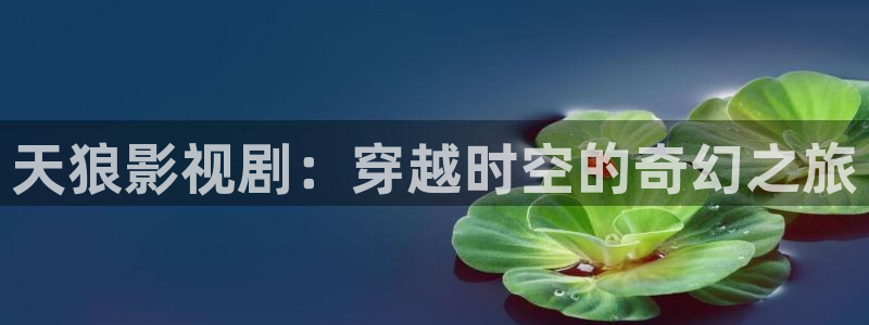 人人影巴