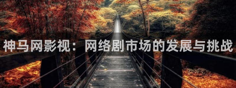 人人视频网址