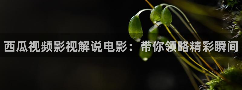 人人影院艳史