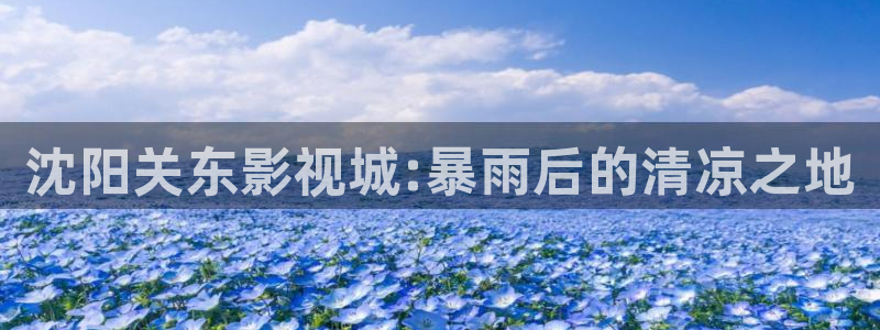 人人视频网