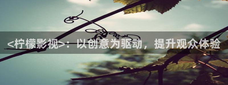 人人影院伦理片