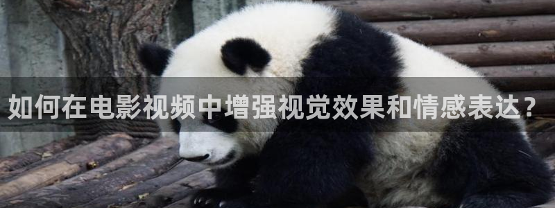 人人影院视频