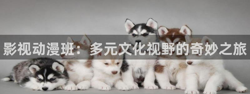 人人影院免费观看电视剧全集