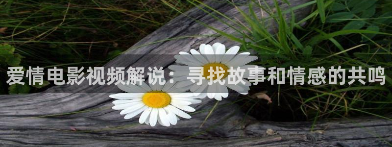 人人影视网