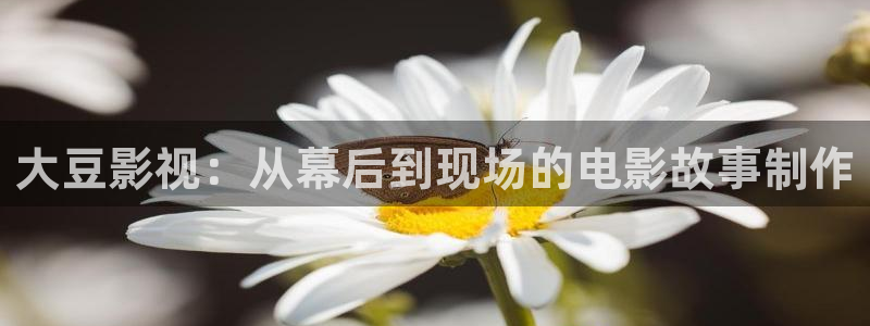 人人影视在线播放