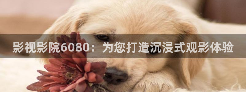 人人影视在线免费观看