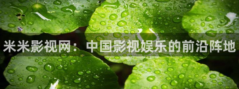人人视频电脑版