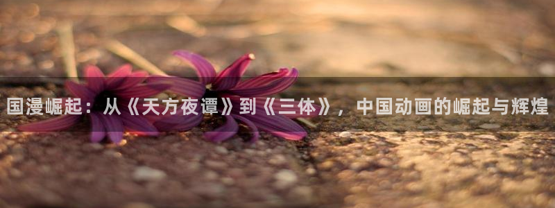 人人视频tv