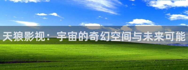 人人影巴