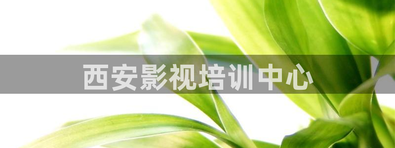 人人视频电脑版