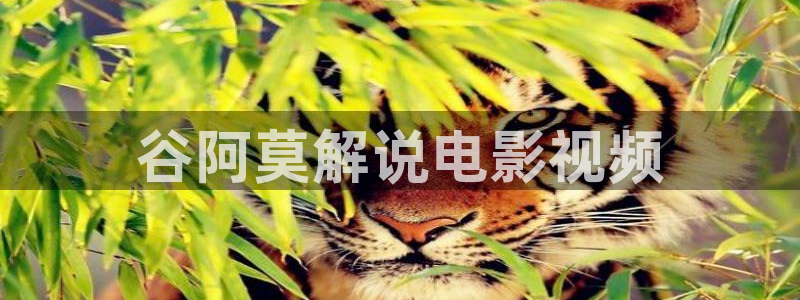 以爱为营人人影院