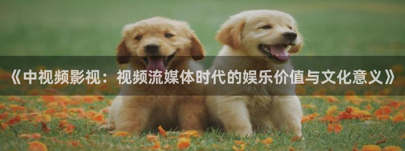 97人人爽人人影院