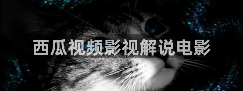 人人影院免费下载