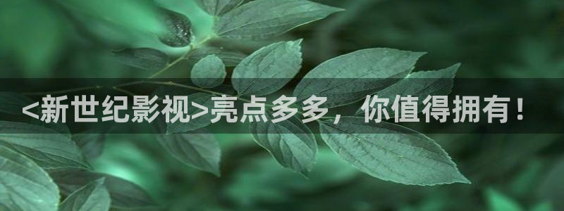 人人影视在线观看