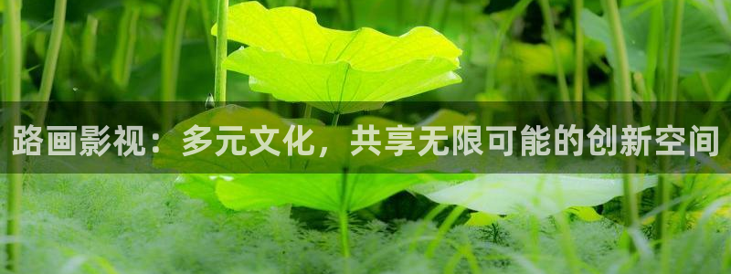 私人人影院