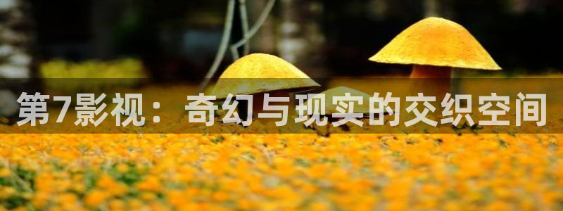 人人影视下载官方