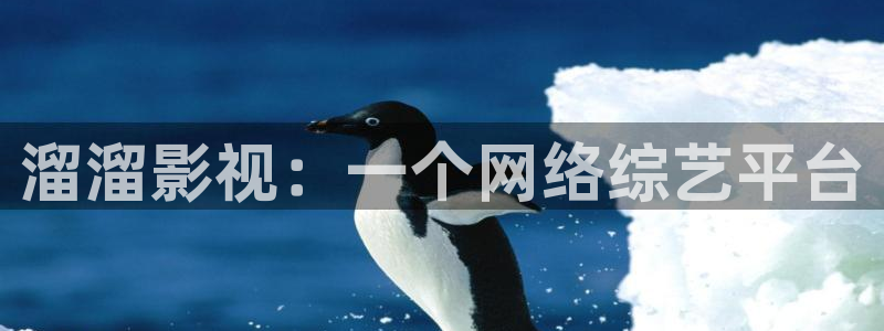 人人影院电视剧