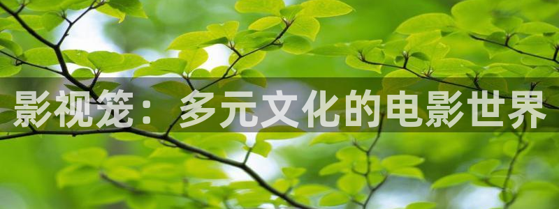 人人影视下载