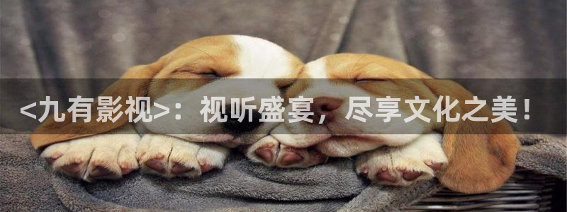 人人视频电视端