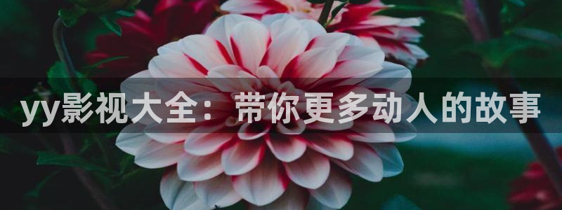人人影院在线观看免费播放电视剧